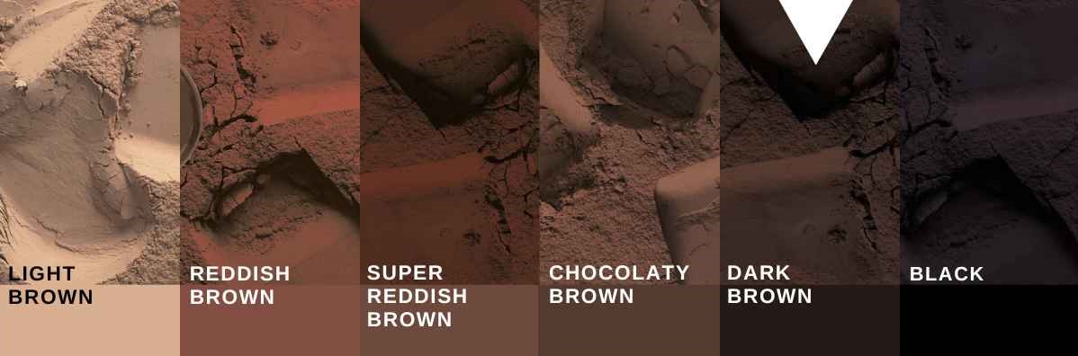 cocoa powder color