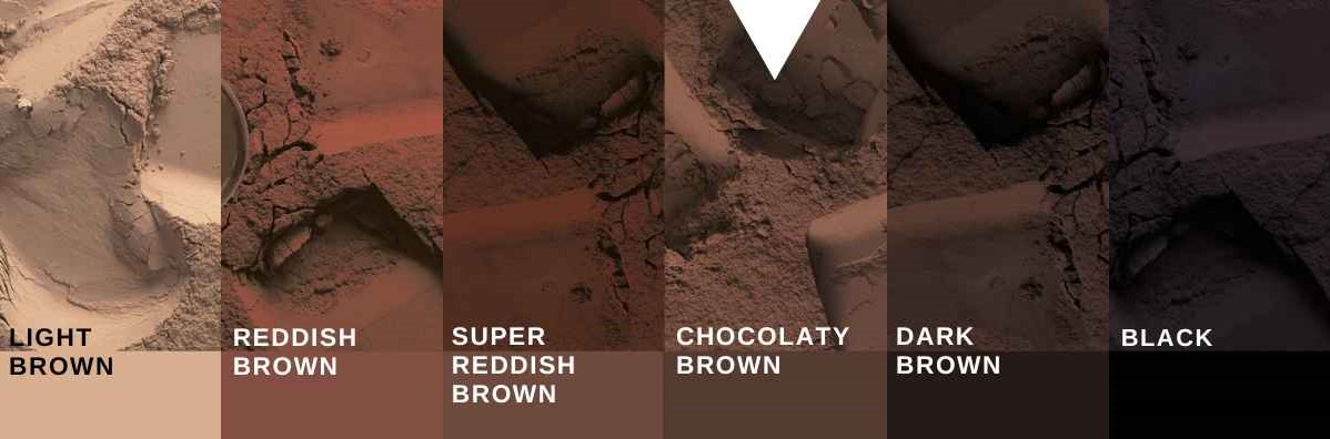 cocoa powder color