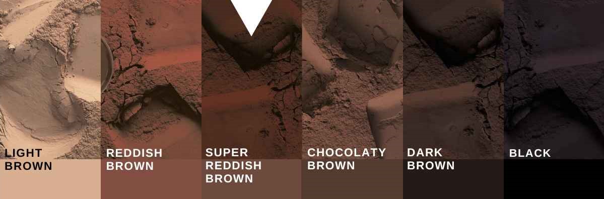 cocoa powder color