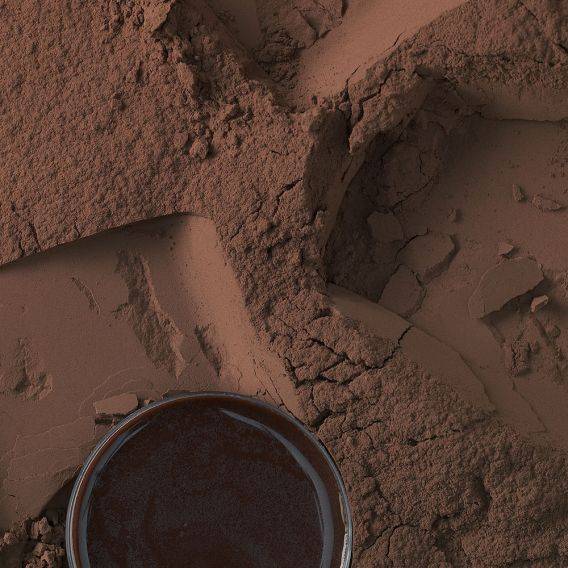 Bensdorp cocoa powder