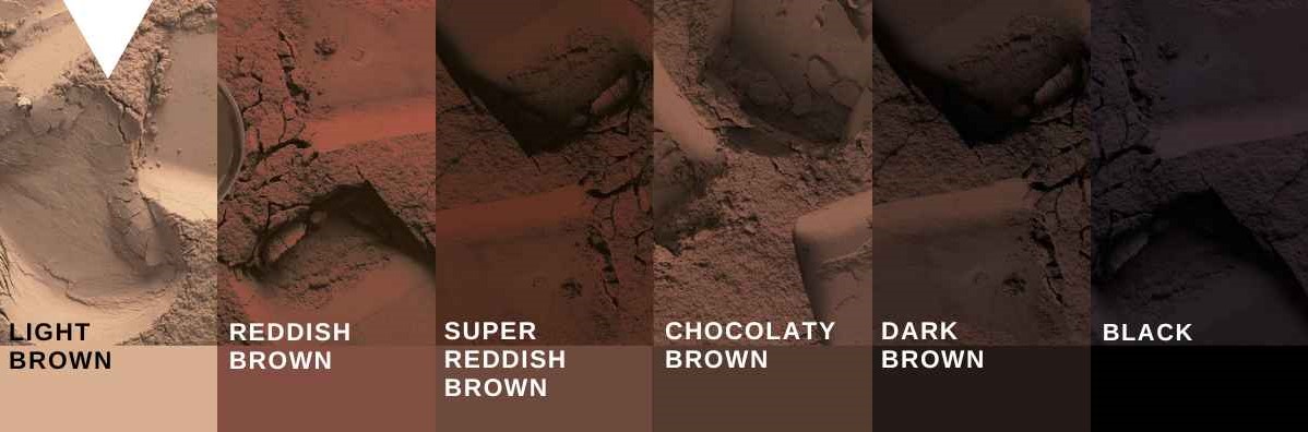 cocoa powder color