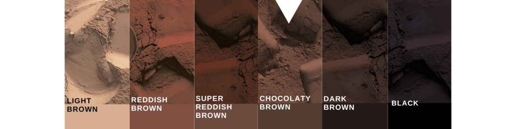 مقایسه رنگ پودر کاکائو قلیایی بنسدورپ DP10-12 با سایر پودر ها