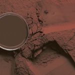 پودر کاکائو قلیایی MR بنسدورپ