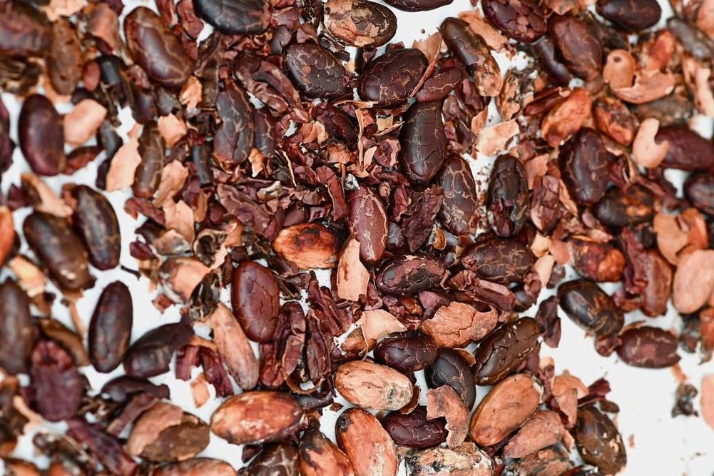 پوست دانه کاکائو در صنایع غذایی