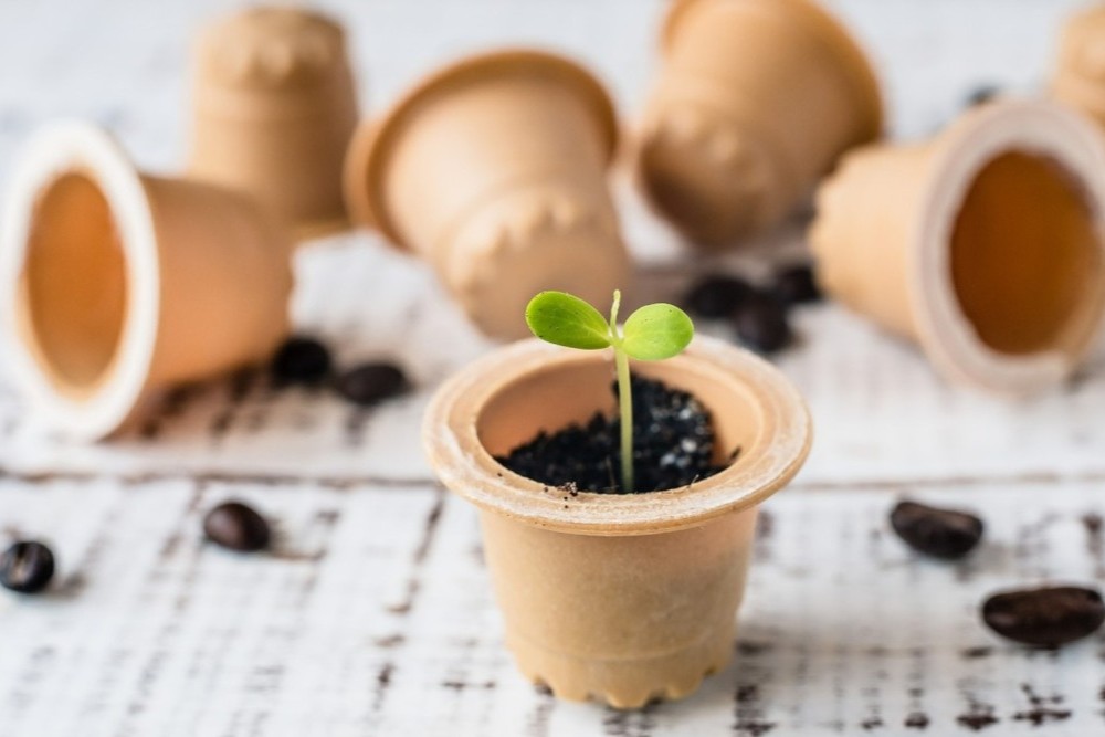 آینده پایدار با کپسول قهوه زیست تخریب پذیر