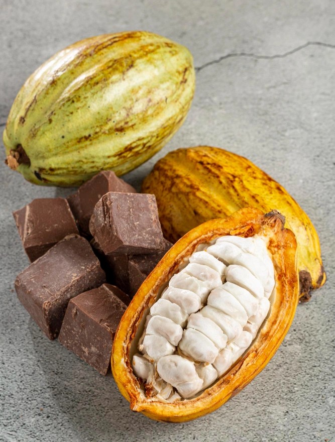 مسیر شکلگیریپروفایل طعمی کاکائو و شکلات