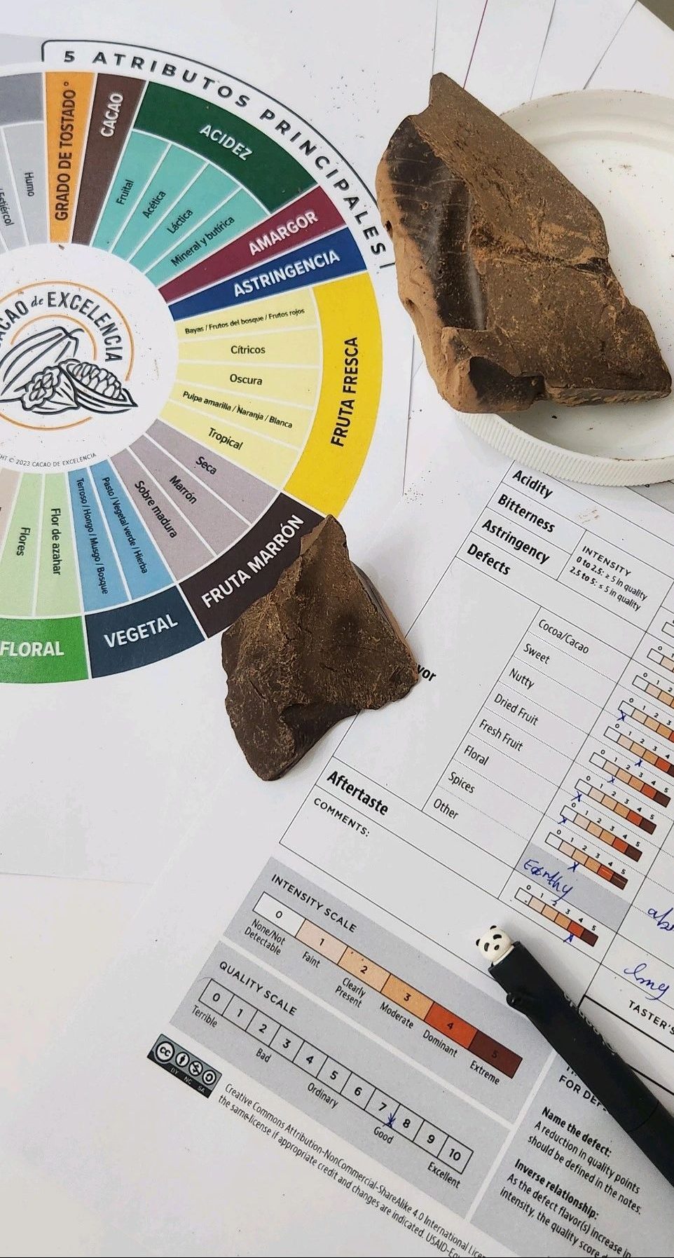 ارزیابی حسی پروفایل طعمی کاکائو و شکلات Sensory evaluation of the flavor profile of cocoa & chocolate
