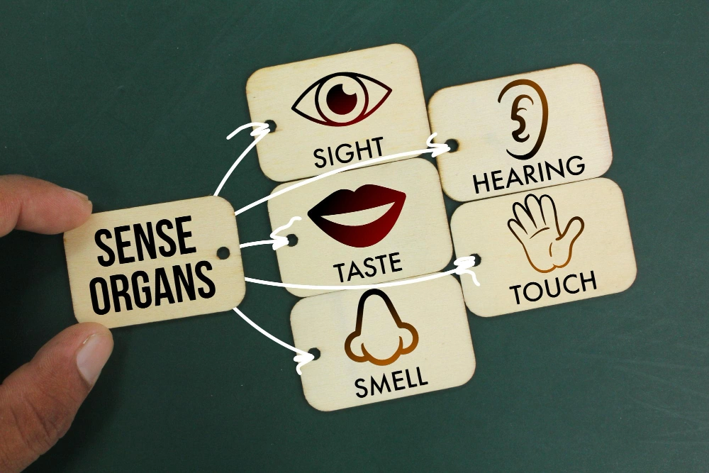 تحول ارزیابی حسی در صنایع غذایی؛ از روش‌های سنتی تا تحلیل‌های داده‌محور