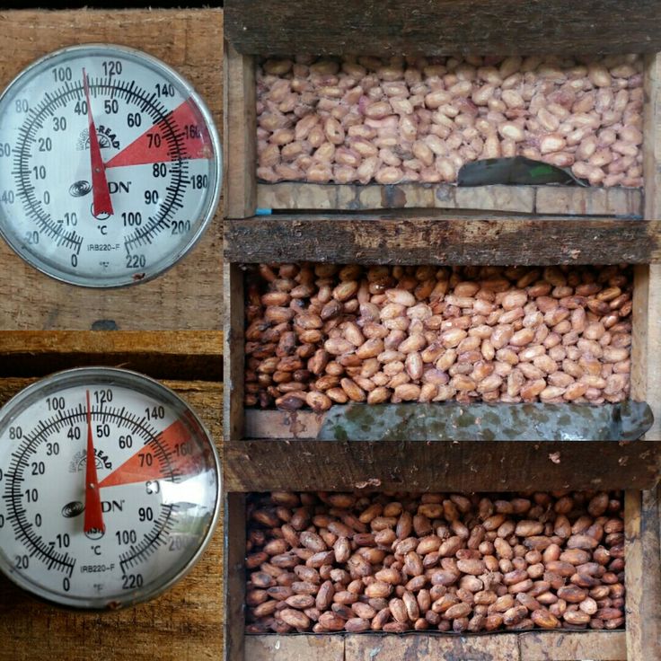 تأثیر مراحل مزرعه، تخمیر، خشک‌کردن و فرآوری بر کیفیت نهایی کره کاکائو