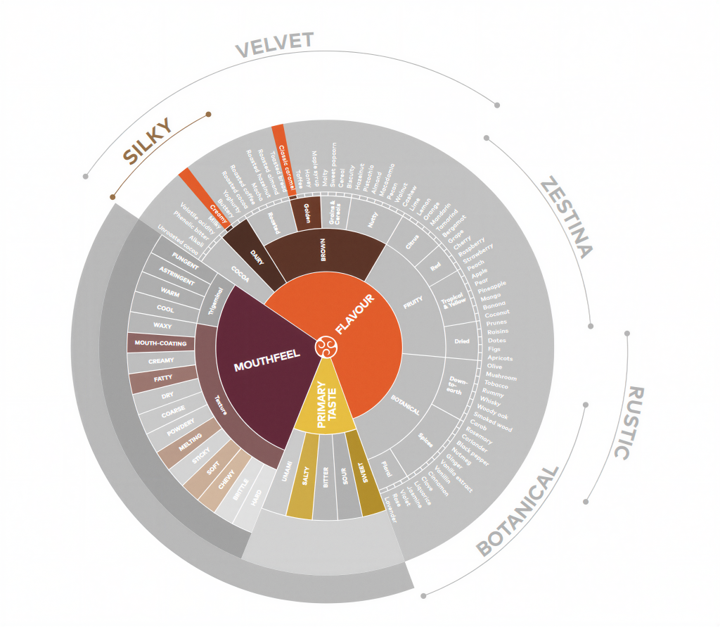 چرخه طعمی شکلات سکه ای کارامل گلد